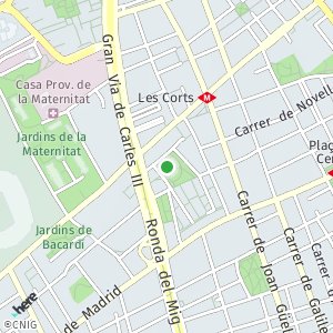 OpenStreetMap - Carrer de Fígols 20, Les Corts, Barcelona, Barcelona, Cataluña